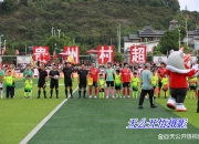 平博体育-贵州足球队球员表现稳定，助球队拿下胜利的简单介绍