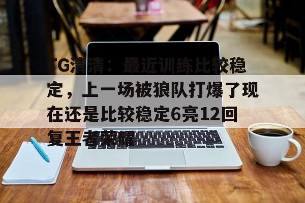关于TG清清：最近训练比较稳定，上一场被狼队打爆了现在还是比较稳定6亮12回复王者荣耀的信息